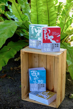 Load image into Gallery viewer, 百年墨踪:马来西亚水墨画艺术发展及其人物研究