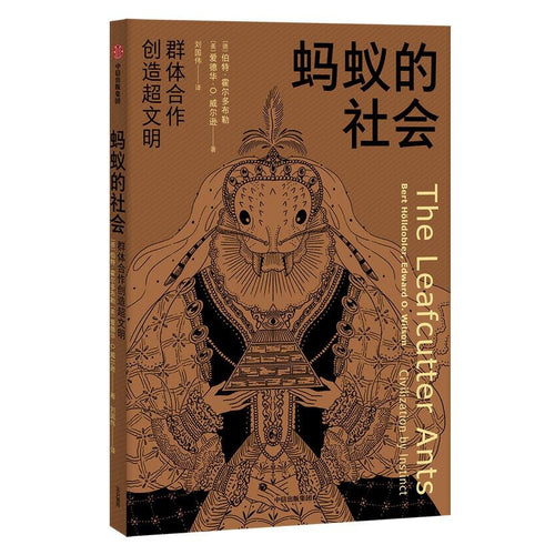 动物城邦系列 · 蚂蚁的社会：群体合作创造超文明